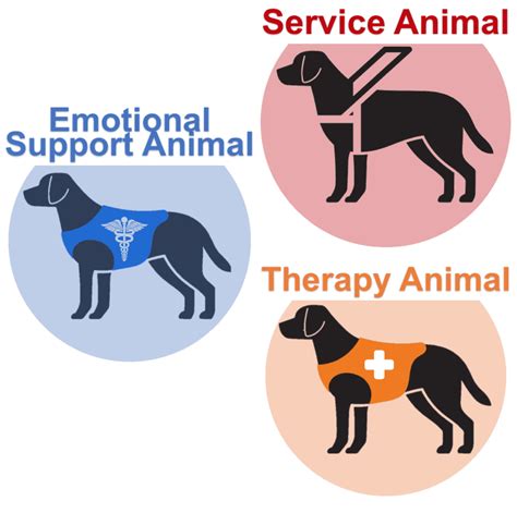 emotional support service dog