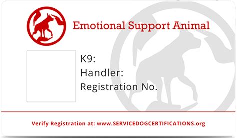 emotional therapy dog certification