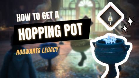 empty pot on switch hogwarts legacy