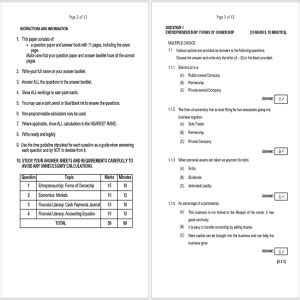 ems exam papers grade 8 Epub