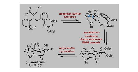 enantioselektive totalsynthesen naturstoffe parazoanthin calyculone PDF