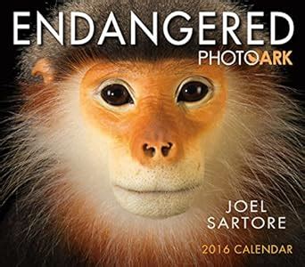 endangered photo ark 2015 boxed calendar Reader