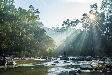 endau rompin national park