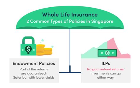 endowment plan singapore