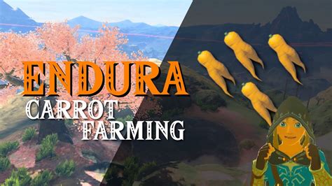 endura carrot botw