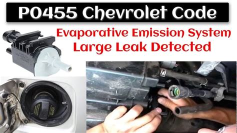 engine code p0455 chevrolet Kindle Editon