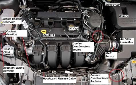engine layout diagram 2004 ford focus Reader