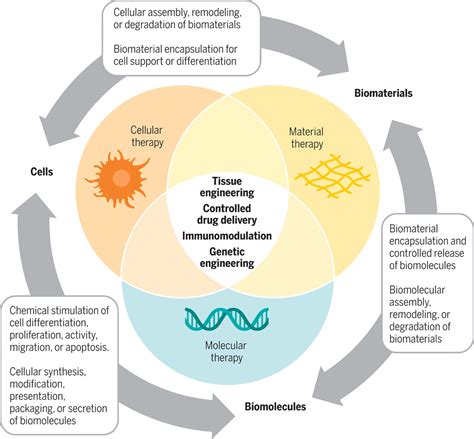 engineering in translational medicine PDF