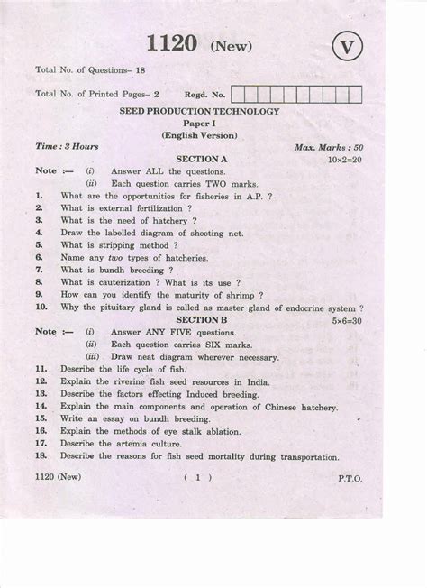 english 1120 paper 2 question answer PDF