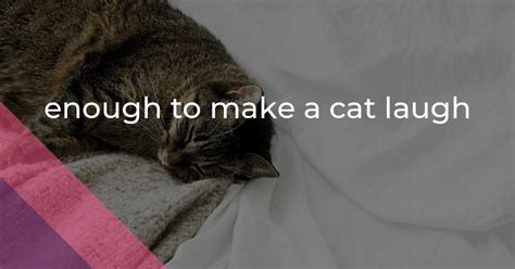 enough to make a cat laugh PDF