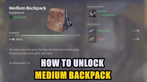 enshrouded medium backpack