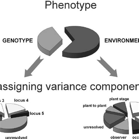 environmental variables and crop genotype