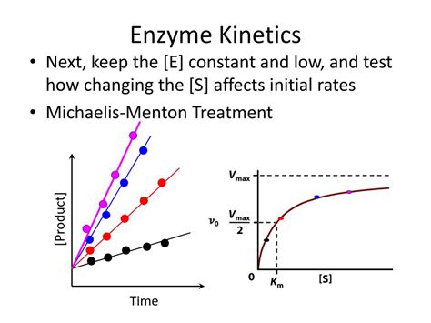 enzyme kinetics and mechanism Doc