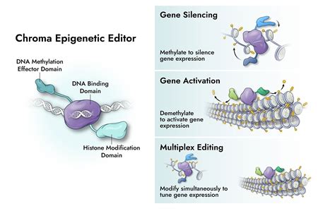 epigenetic technological applications Reader