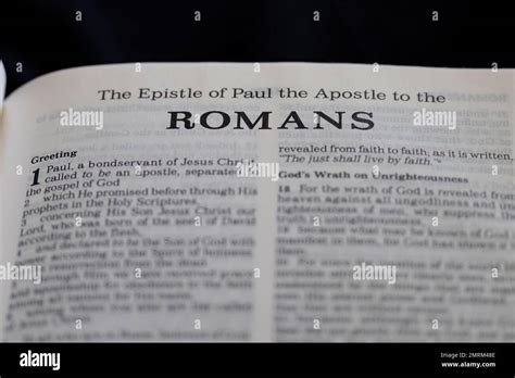 epistle to the romans PDF