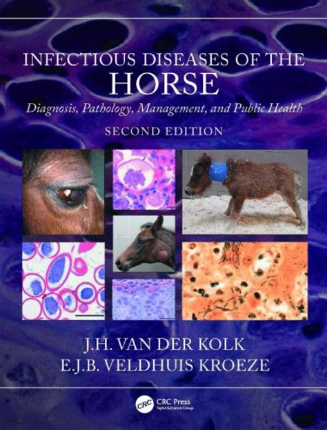 equine infectious diseases equine infectious diseases Kindle Editon