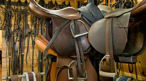 equine tack