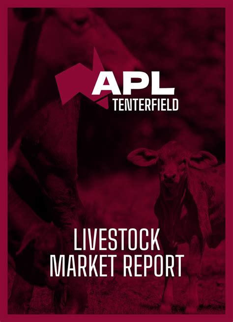 equity livestock market report