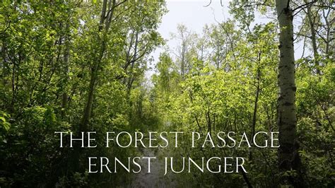 ernst jungers forest passage repost Kindle Editon