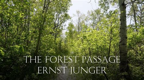 ernst jungers forest passage repost Kindle Editon