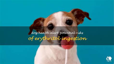 erythritol dogs