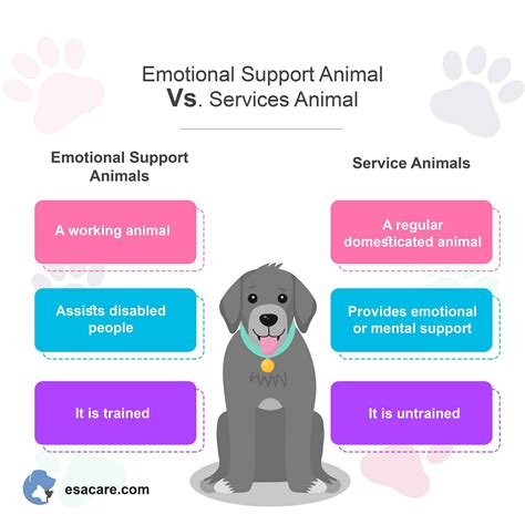 esa vs service dog