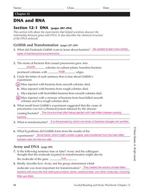 escience labs answer key dna and rna 2nd edition Ebook PDF