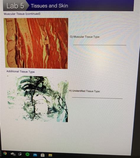 escience labs answers lab 5 tissues and skin PDF