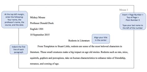 essay heading format