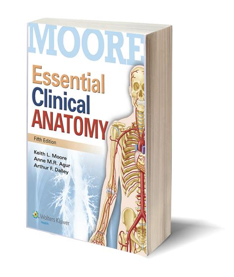 essential clinical anatomy Doc