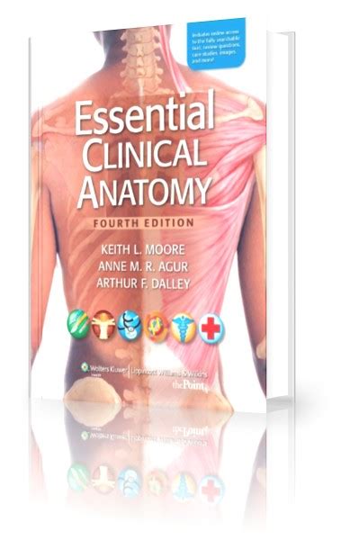 essential clinical anatomy 4th edition ebook Epub