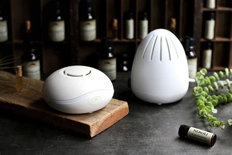 essential oils and diffuser