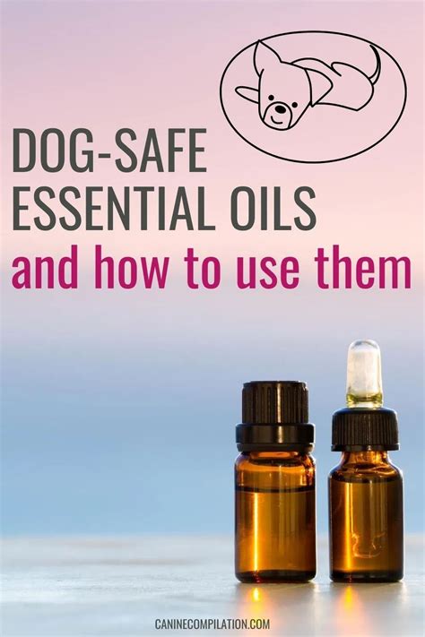 essential oils dogs aromatherapy techniques Reader