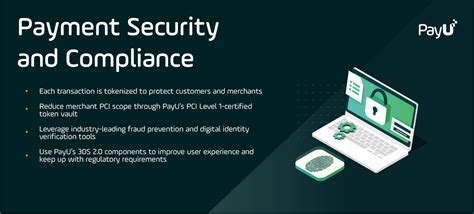 essentials of online payment security and fraud prevention Doc