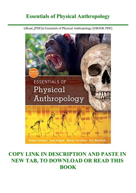 essentials of physical anthropology Ebook Kindle Editon