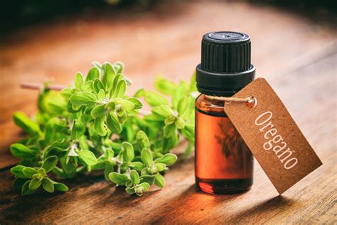 essentials oregano oil discover benefits Kindle Editon