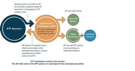 etf authorised participant