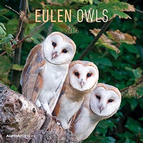 eulen 2016 brosch renkalender tierkalender wandplaner Epub