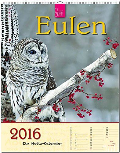 eulen 2016 notiz kalender st rtz kalender hochformat kalender Kindle Editon