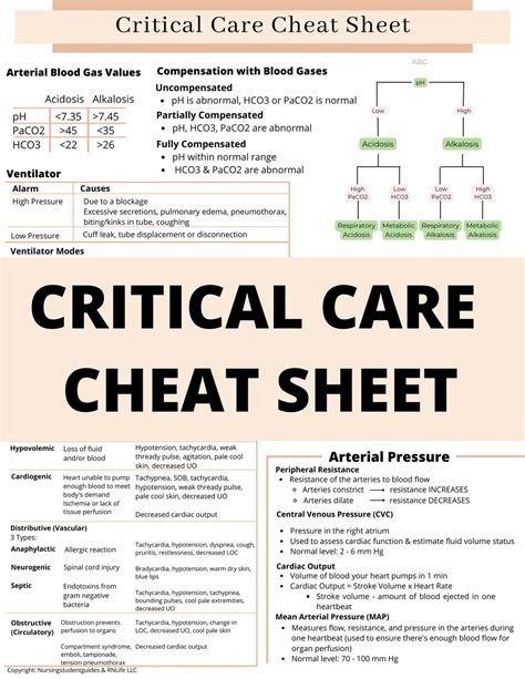 evaluating critical care evaluating critical care Doc