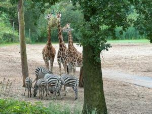 even neuzen zoo informatie PDF