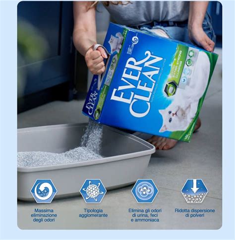 ever clean cat litter