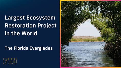 everglades the ecosystem and its restoration Epub