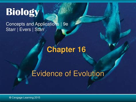 evidence evolution chapter review 16 Reader