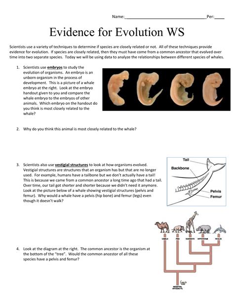evidence of evolution 37 answers Ebook Doc