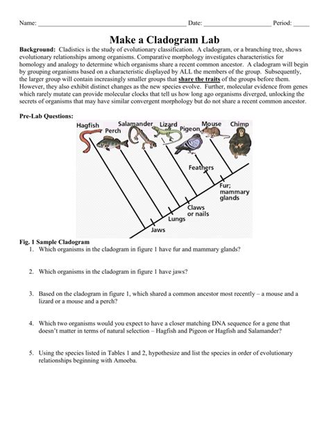 evolution and classification test answer key Kindle Editon