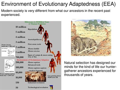 evolution and human behavior evolution and human behavior Doc