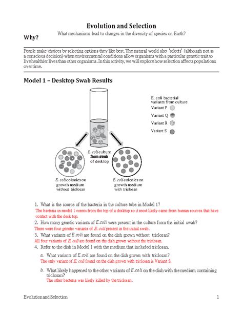 evolution and selection pogil lab answer key PDF