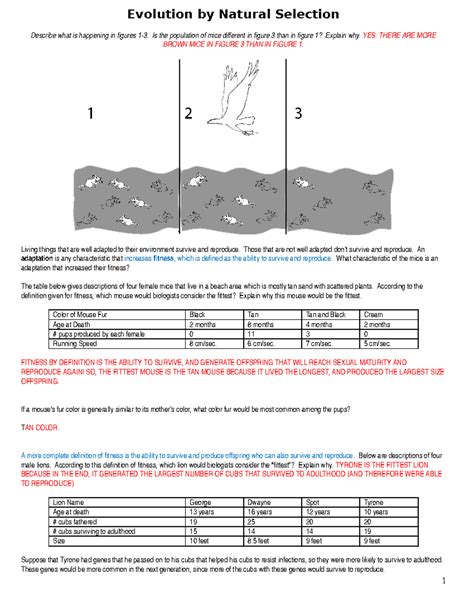 evolution by natural selection answer key Ebook Epub