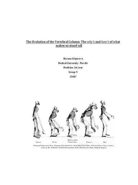 evolution of bipedalism pdf Reader